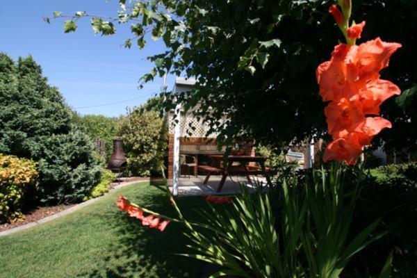 Shearwater Cottages Port Sorell Esterno foto